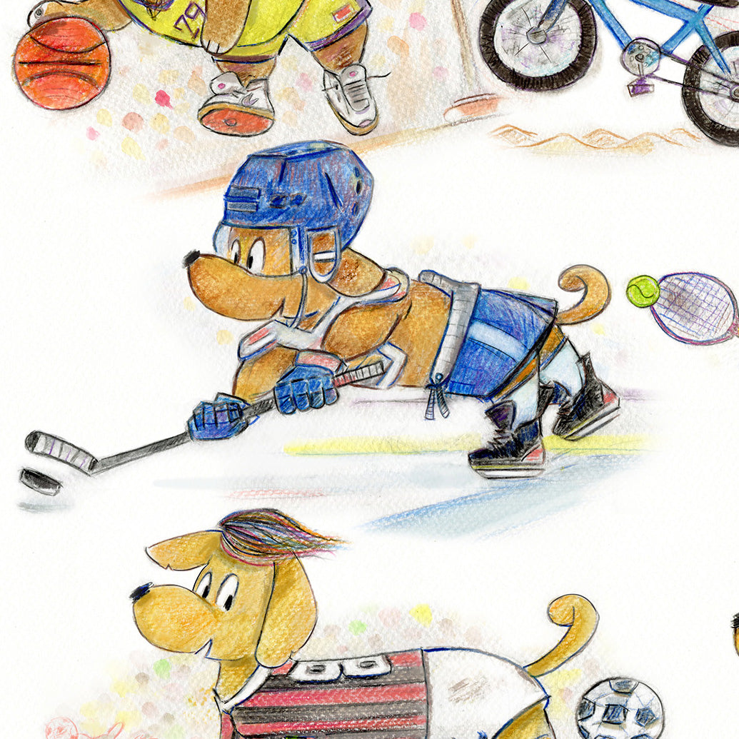 Psí Sporty, BMX Fifteen, 46x42