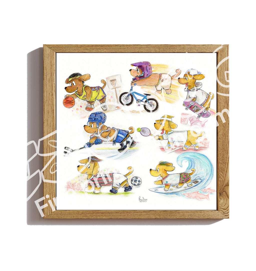 Psí Sporty, BMX Fifteen, 46x42