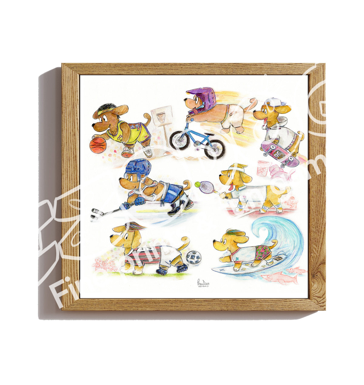 Psí Sporty, BMX Fifteen, 46x42