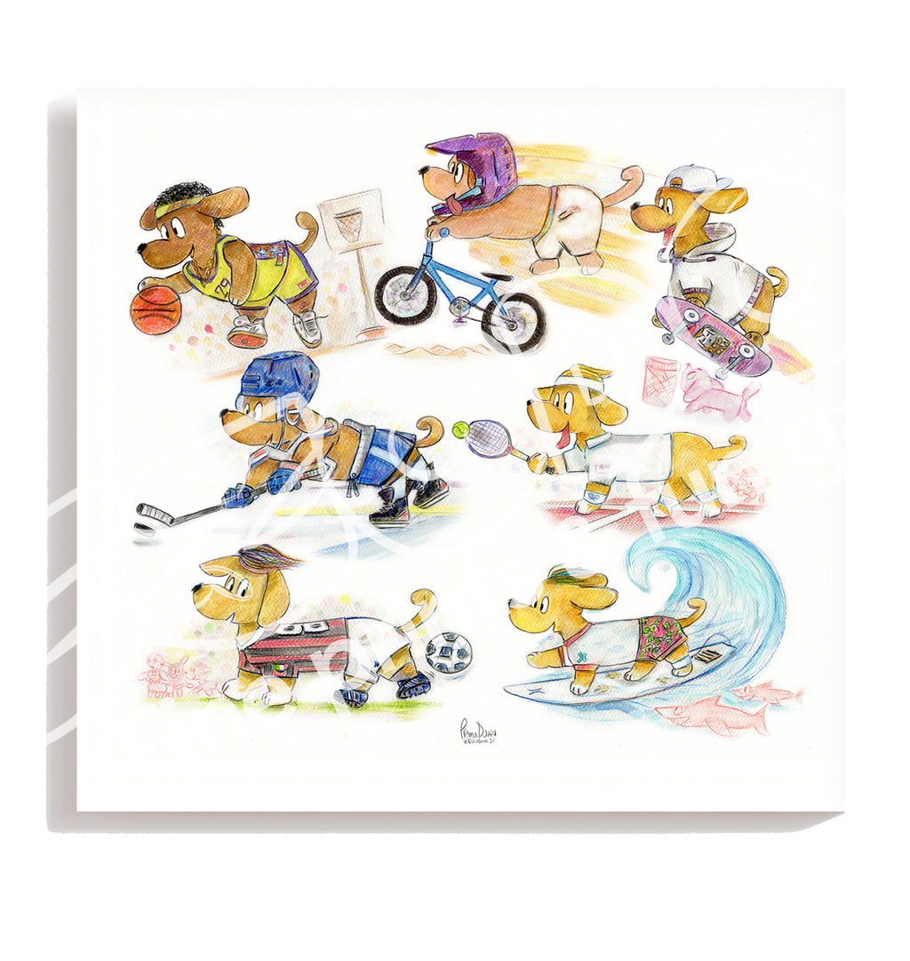 Psí Sporty, BMX Fifteen, 46x42
