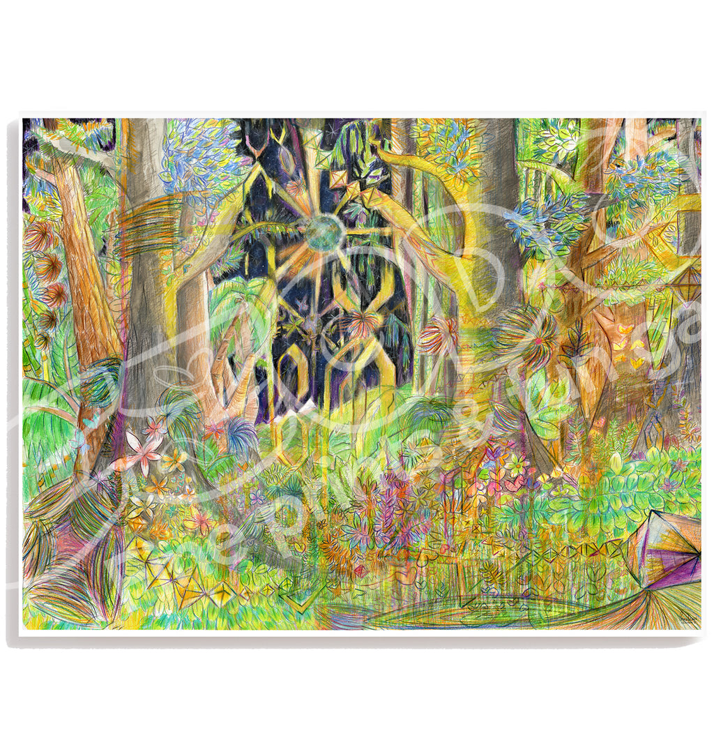 Deva Design, 98x76